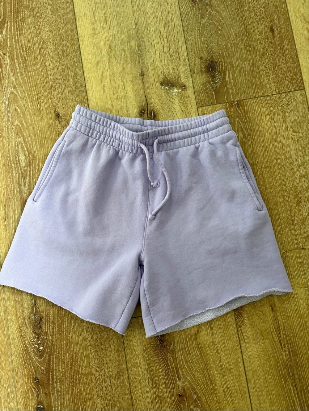 Lilac Aritzia TNA sweat shorts